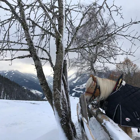 Dachstein *
