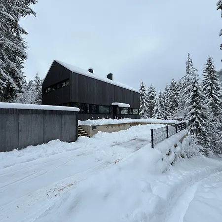 Dachstein Chalet Ramsau am Dachstein