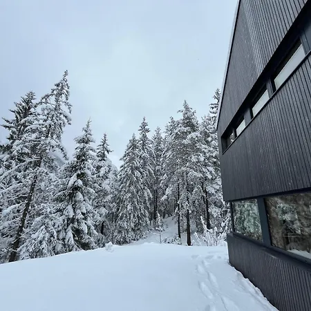 Dachstein * Ramsau am Dachstein