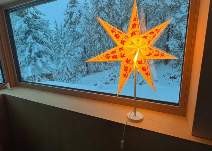 Alpesi faház Dachstein